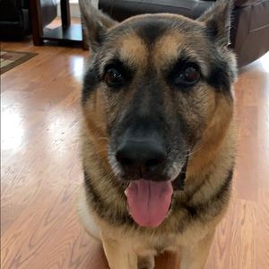 Meet your Posher, Stephen